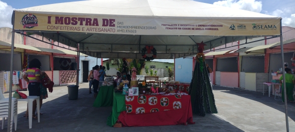 Governo de Amélia Rodrigues incentiva o empreendedorismo feminino na cidade com realização de evento